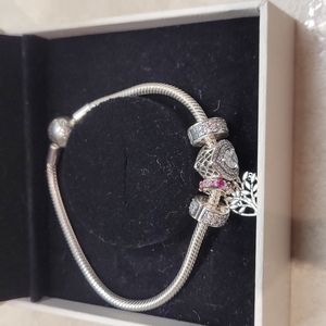 Pandora Bracelet